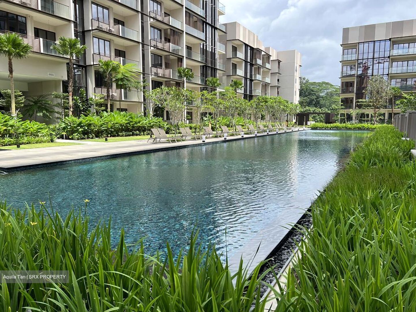 Dairy Farm Residences (D23), Apartment #553762651